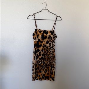 Velvet cheetah mini